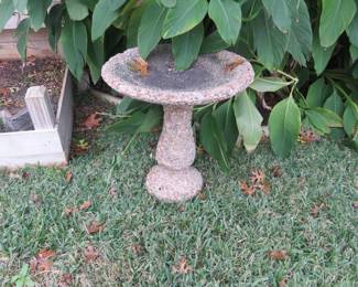 Bird Bath
