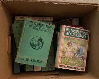 The Bobbsey Twin books!