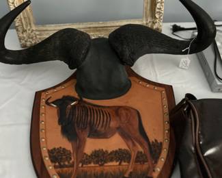 Blue Wildebeast Antlers