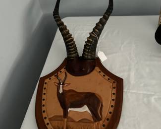 Blesbok Antlers 