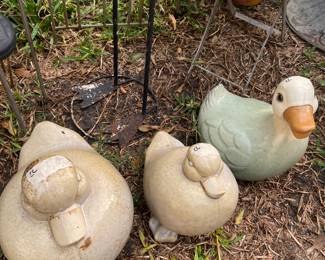 we named them huey -louis dewy   