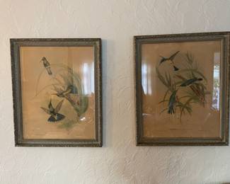 Artwork John Gould framed hummingbird 