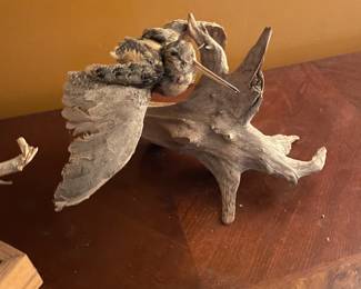 Woodcock taxidermy