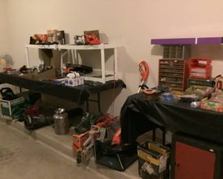 Updated pic all still here