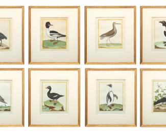 François Nicolas Martinet (French, 1725-1804) Engravings with Hand Coloring on Laid Paper, Group of Eight H 8.75" W 6.5"