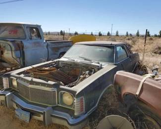 #614 • 1976 Mercury Monarch
