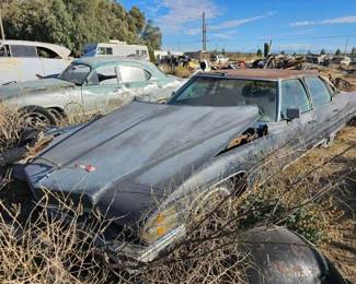 #218 • 1974 Cadillac Fleetwood Talisman
