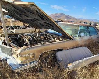 #210 • 1975 Cadillac Sedan De Ville
