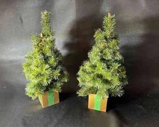 Two Small Christmas Trees
