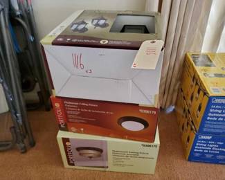 #12054 • 2 Flush Mount Ceiling Fixtures & Outdoor Wallpack
