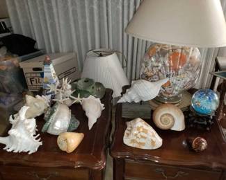 #9530 • 10 Shells, Lamp, And Decor
