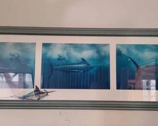#11514 • Framed Swordfish Picture
