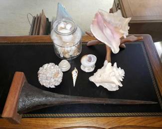 #10024 • Misc Shells And Swordfish Beak
