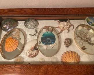 #9068 • Vintage Mirror Trays, Abalone Shells, Sand Dollars and More
