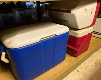 #10552 • Igloo Coolers and Rubbermaid Cooler
