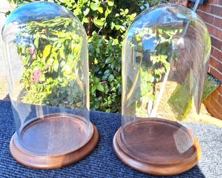 CLOCHE GLASS DOMES
