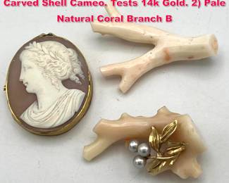 Lot 1866 3pc Antique Jewelry. 1 14K Frame Carved Shell Cameo. Tests 14k Gold. 2 Pale Natural Coral Branch B