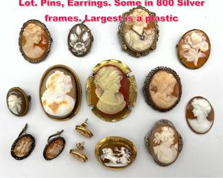 Lot 1859 13pc Carved Shell Cameo Jewelry Lot. Pins, Earrings. Some in 800 Silver frames. Largest is a plastic