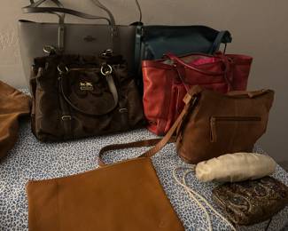 We have a variety of designer bag starting with bottega Venetta, Judith Lieber, Ralph, Lauren, Coach, Patricia Nash