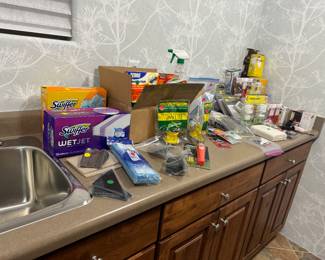 Lots and lots of bug killer, weed spray, essential, gardening, items, along with ladders 