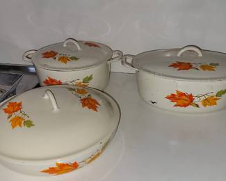 Enameled cast iron cookware