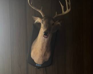 Vintage Singing Buck
