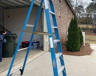 Werner 8ft ladder