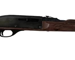 Remington 22 Rifle