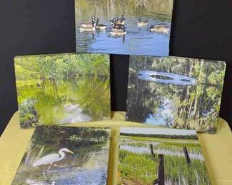 Canvas Photography by Gail Sauer