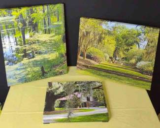 Lowcountry Canvas Prints