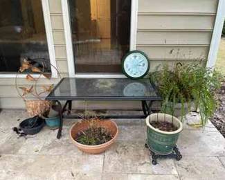 Patio Table, Plants and More