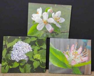 Trio of Floral Prints