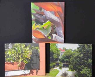 Prints on Canvas by Gail Sauer