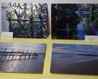 Iconic Charleston Scenes