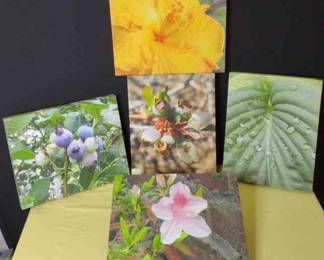 Flowers and Blueberry Art