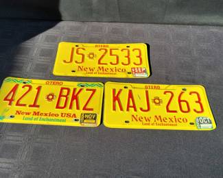 License Plate Lot