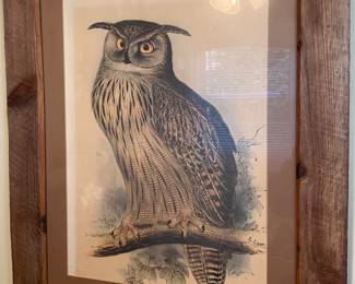 E. Lear Signed Owl Print