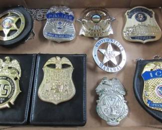Badge Collection
