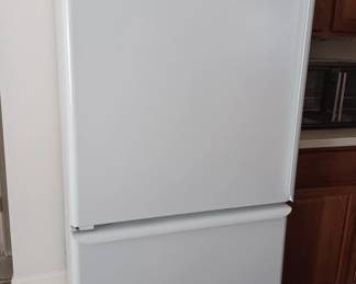 CLEAN AMANA REFRIDGERATOR
