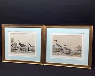 Alexander Wilson's American Ornithology