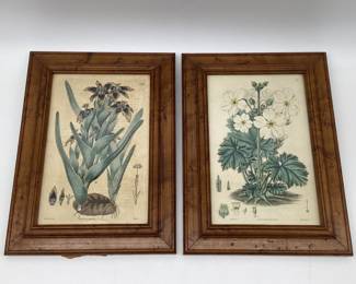 1826/1827 Engravings