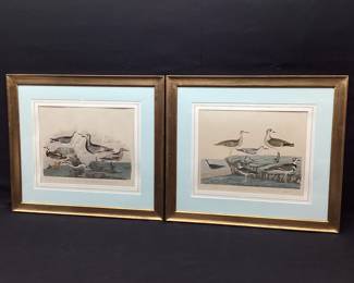 Alexander Wilson's American Ornithology