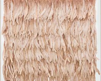 Beautiful Rose Color Feathered Art