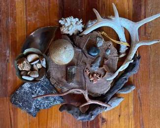 Antlers, Wood Carvings, Rocks And Fossils
