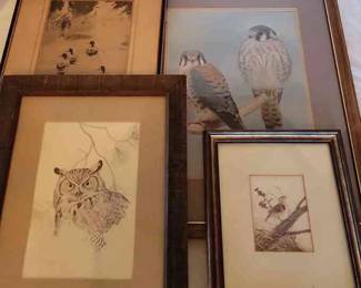 Birds, Duck, Owl Artwork