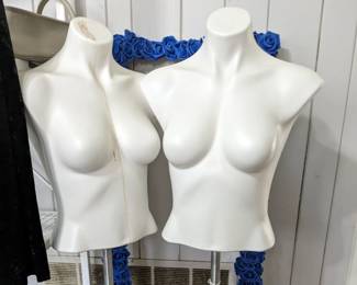 Female Mannequin Torso 1 left