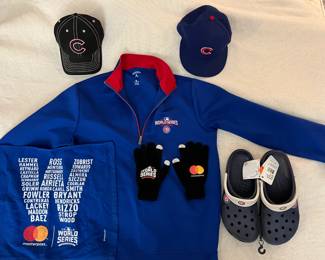Cubs World Series stuff and other accessories 