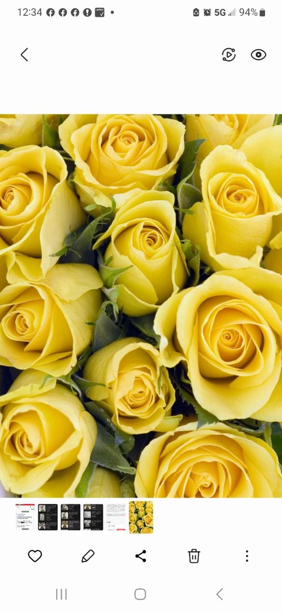 Quail Valley Estate Sale in Missouri City, TX starts on 12/9/2023