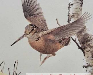 Woodcock Kenneth Carlson Wlid Wings Print