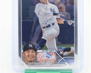 Lot 015   0 Bid(s)
2023 Topps Chrome ANTHONY VOLPE #4